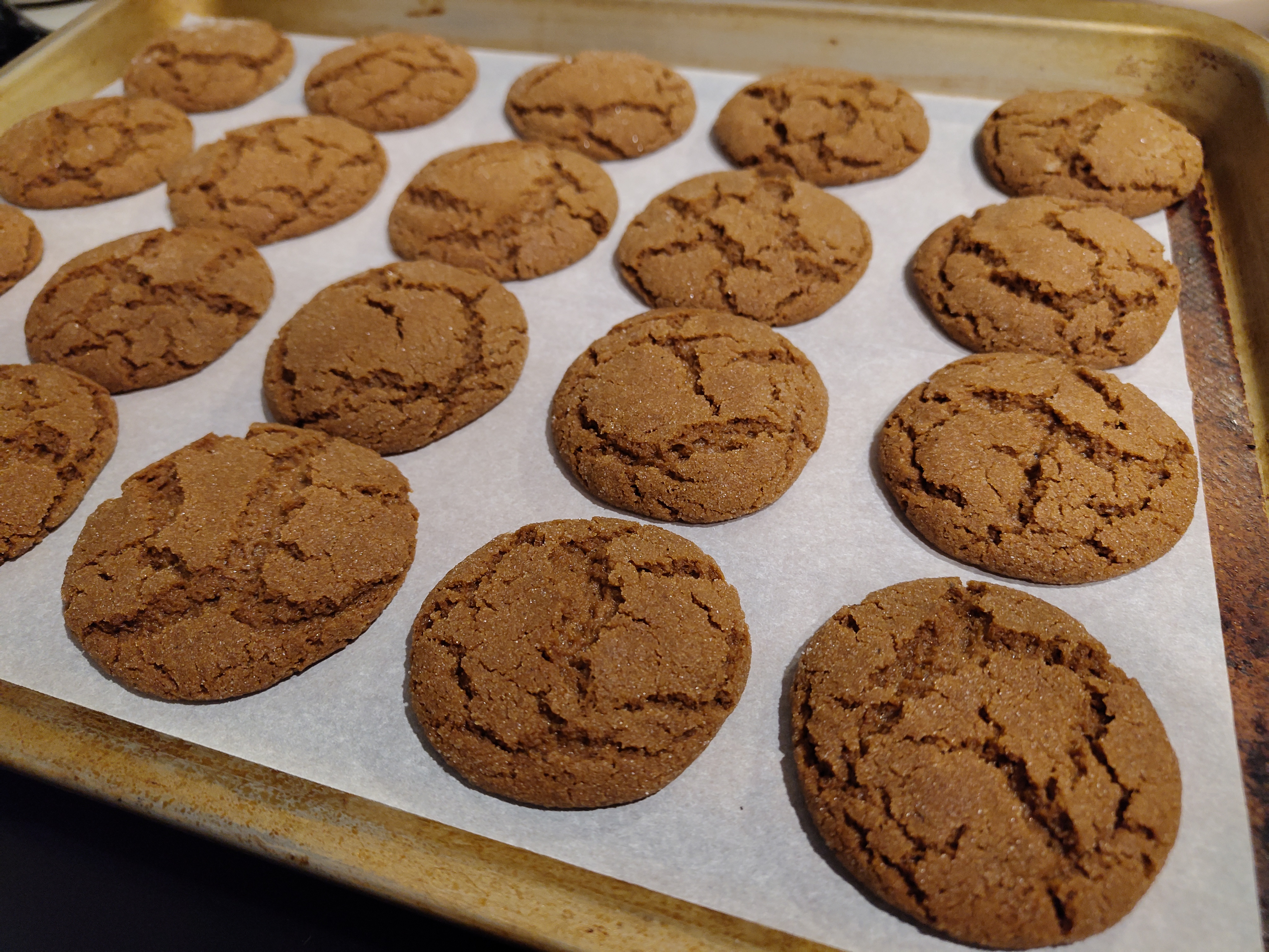 Molasses Cookie Picture